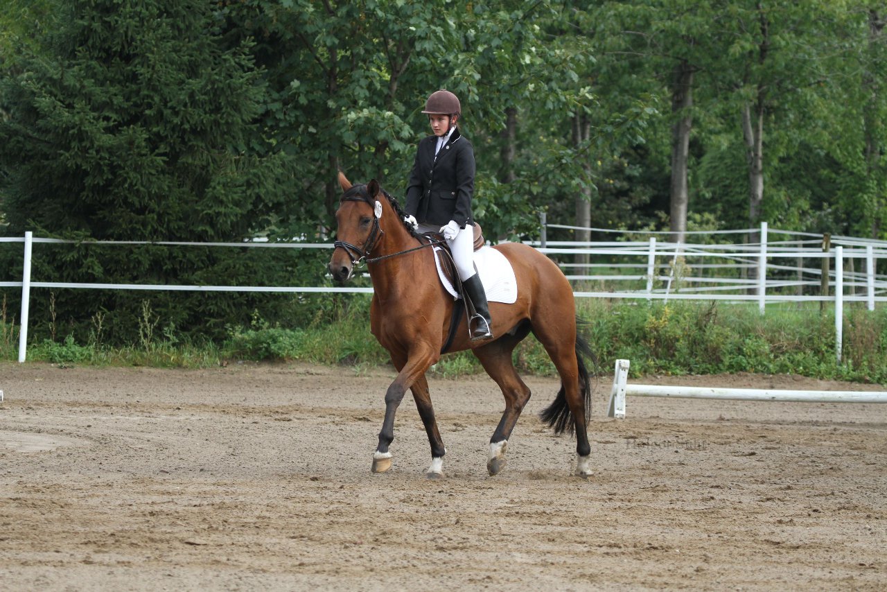 Bild 191 - WBO-Turnier am 18.9.11